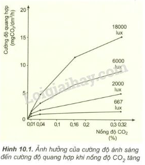 Giải Sinh học 11 Bài 2: Khí hậu châu Á (ảnh 1)