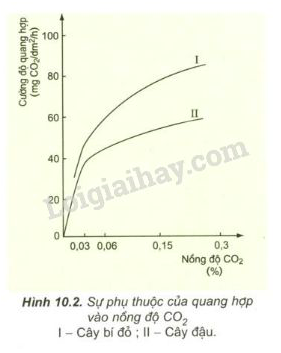 Giải Sinh học 11 Bài 2: Khí hậu châu Á (ảnh 2)