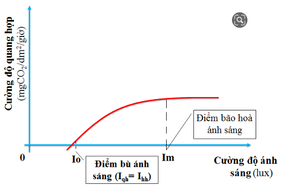 Giải Sinh học 11 Bài 2: Khí hậu châu Á (ảnh 3)