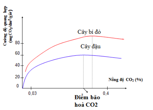 Giải Sinh học 11 Bài 2: Khí hậu châu Á (ảnh 6)