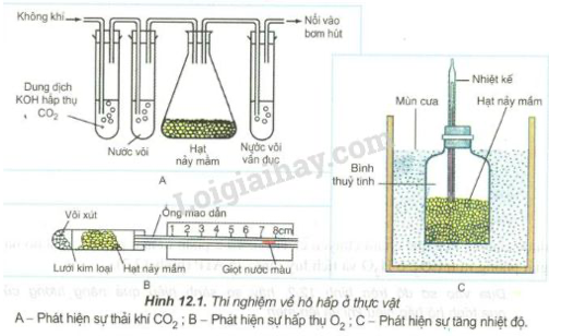 Giải Sinh học 11 Bài 2: Khí hậu châu Á (ảnh 1)