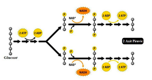 Giải Sinh học 11 Bài 2: Khí hậu châu Á (ảnh 5)