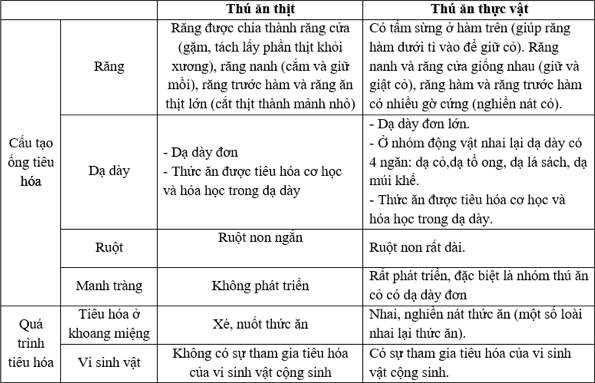 Giải Sinh học 11 Bài 2: Khí hậu châu Á (ảnh 1)