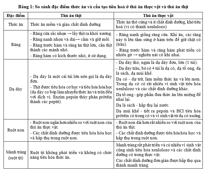 Giải Sinh học 11 Bài 2: Khí hậu châu Á (ảnh 7)