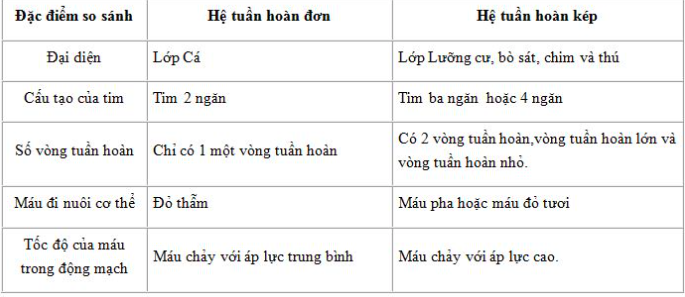 Giải Sinh học 11 Bài 2: Khí hậu châu Á (ảnh 3)