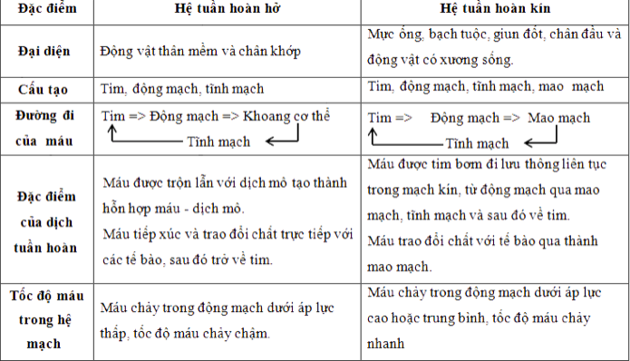 Giải Sinh học 11 Bài 2: Khí hậu châu Á (ảnh 5)