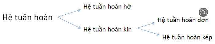 Giải Sinh học 11 Bài 2: Khí hậu châu Á (ảnh 9)