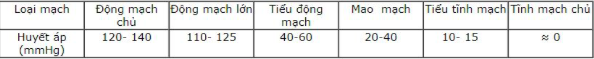 Giải Sinh học 11 Bài 2: Khí hậu châu Á (ảnh 1)