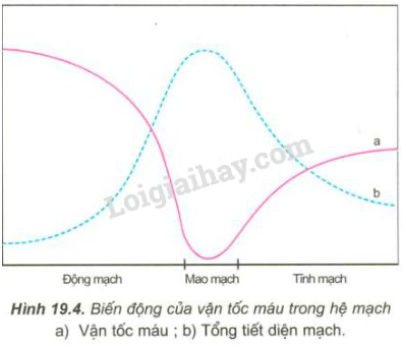 Giải Sinh học 11 Bài 2: Khí hậu châu Á (ảnh 2)