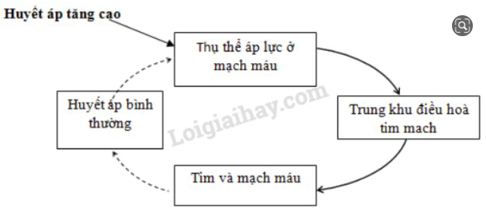 Giải Sinh học 11 Bài 2: Khí hậu châu Á (ảnh 2)