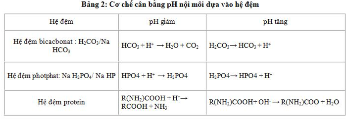 Giải Sinh học 11 Bài 2: Khí hậu châu Á (ảnh 7)