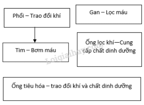 Giải Sinh học 11 Bài 2: Khí hậu châu Á (ảnh 4)