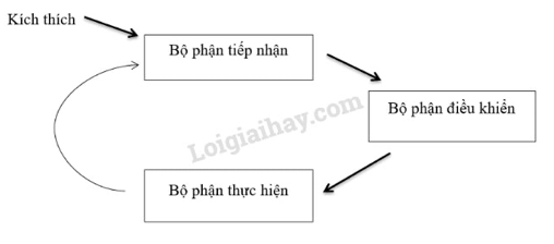 Giải Sinh học 11 Bài 2: Khí hậu châu Á (ảnh 6)