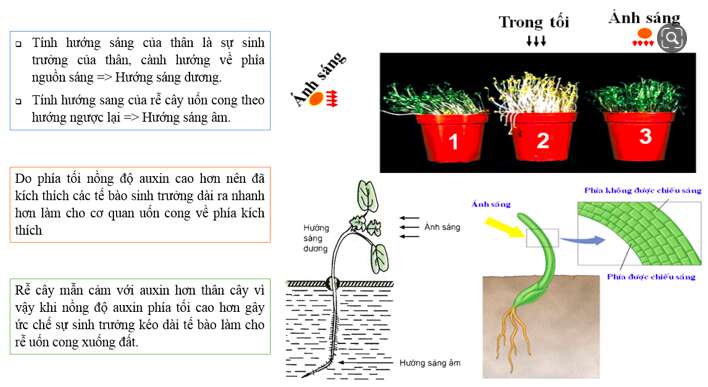 Giải Sinh học 11 Bài 2: Khí hậu châu Á (ảnh 3)