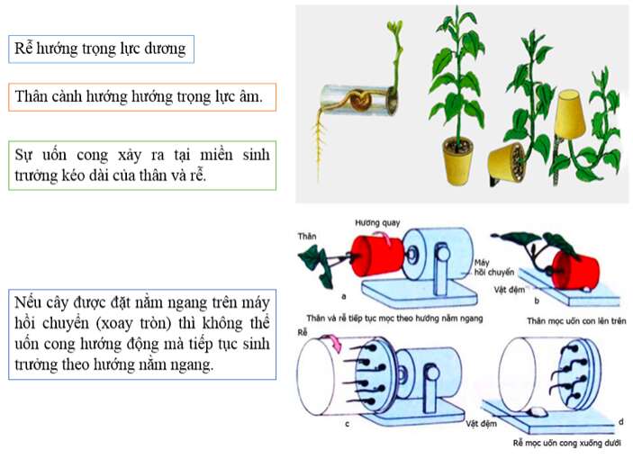 Giải Sinh học 11 Bài 2: Khí hậu châu Á (ảnh 4)