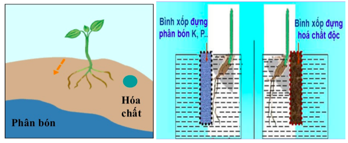 Giải Sinh học 11 Bài 2: Khí hậu châu Á (ảnh 5)