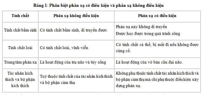 Giải Sinh học 11 Bài 2: Khí hậu châu Á (ảnh 2)