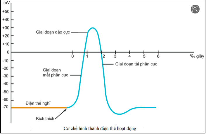 Giải Sinh học 11 Bài 2: Khí hậu châu Á (ảnh 1)