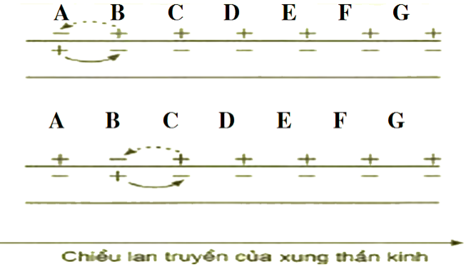 Giải Sinh học 11 Bài 2: Khí hậu châu Á (ảnh 2)