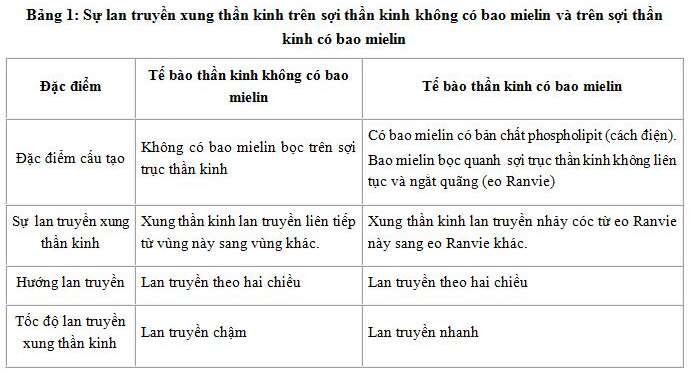 Giải Sinh học 11 Bài 2: Khí hậu châu Á (ảnh 4)