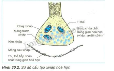 Giải Sinh học 11 Bài 2: Khí hậu châu Á (ảnh 1)