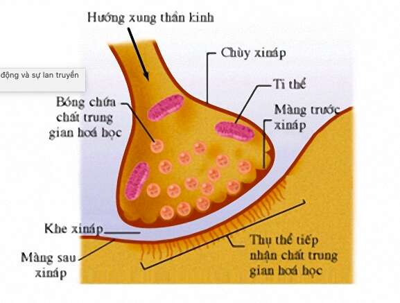 Giải Sinh học 11 Bài 2: Khí hậu châu Á (ảnh 6)