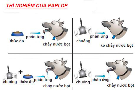 Giải Sinh học 11 Bài 2: Khí hậu châu Á (ảnh 3)