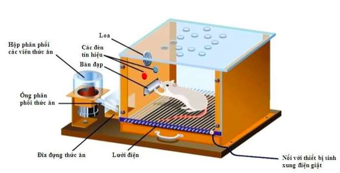 Giải Sinh học 11 Bài 2: Khí hậu châu Á (ảnh 4)