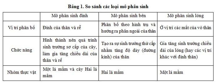 Giải Sinh học 11 Bài 2: Khí hậu châu Á (ảnh 4)