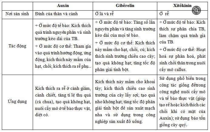 Giải Sinh học 11 Bài 2: Khí hậu châu Á (ảnh 5)