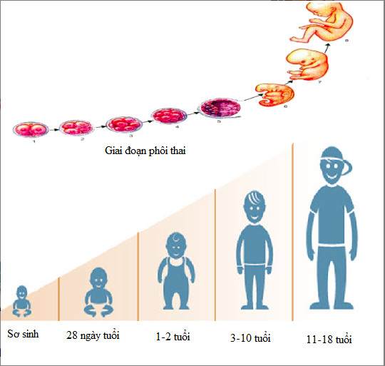 Giải Sinh học 11 Bài 2: Khí hậu châu Á (ảnh 2)