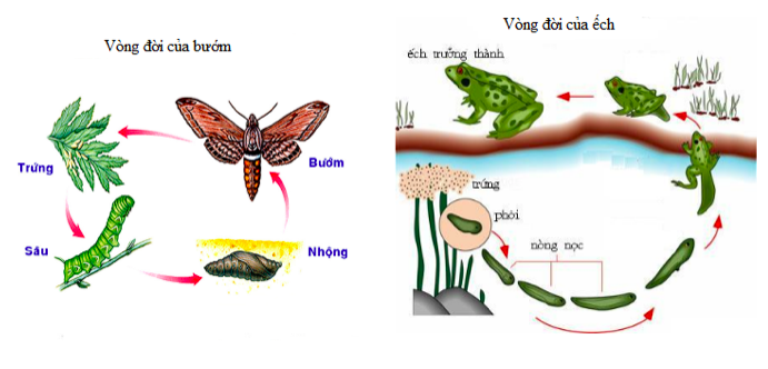 Giải Sinh học 11 Bài 2: Khí hậu châu Á (ảnh 4)