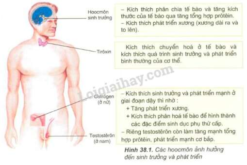 Giải Sinh học 11 Bài 2: Khí hậu châu Á (ảnh 1)