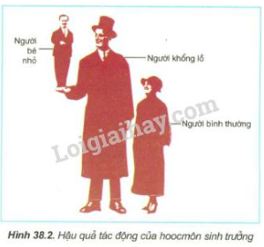 Giải Sinh học 11 Bài 2: Khí hậu châu Á (ảnh 2)