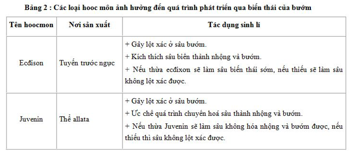 Giải Sinh học 11 Bài 2: Khí hậu châu Á (ảnh 8)