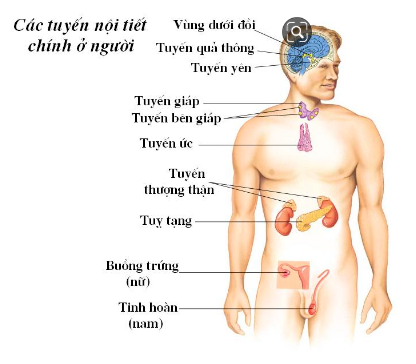 Giải Sinh học 11 Bài 2: Khí hậu châu Á (ảnh 6)