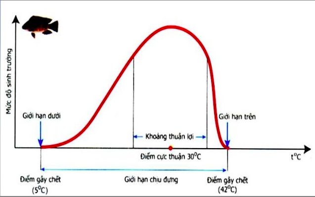 Giải Sinh học 11 Bài 2: Khí hậu châu Á (ảnh 1)