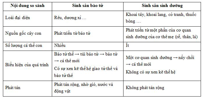 Giải Sinh học 11 Bài 2: Khí hậu châu Á (ảnh 4)