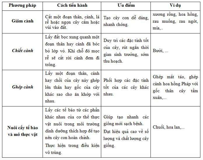 Giải Sinh học 11 Bài 2: Khí hậu châu Á (ảnh 5)