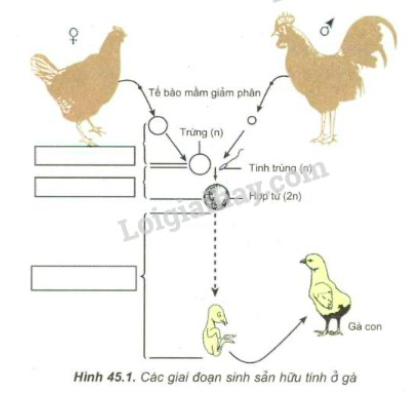 Giải Sinh học 11 Bài 2: Khí hậu châu Á (ảnh 1)