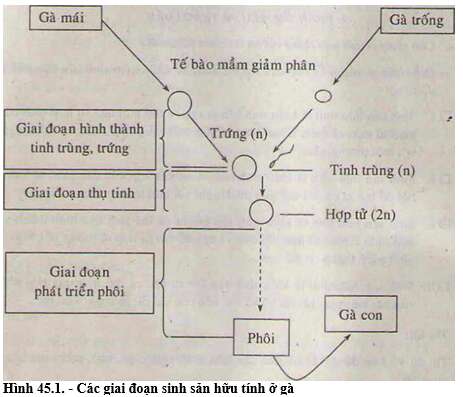 Giải Sinh học 11 Bài 2: Khí hậu châu Á (ảnh 2)