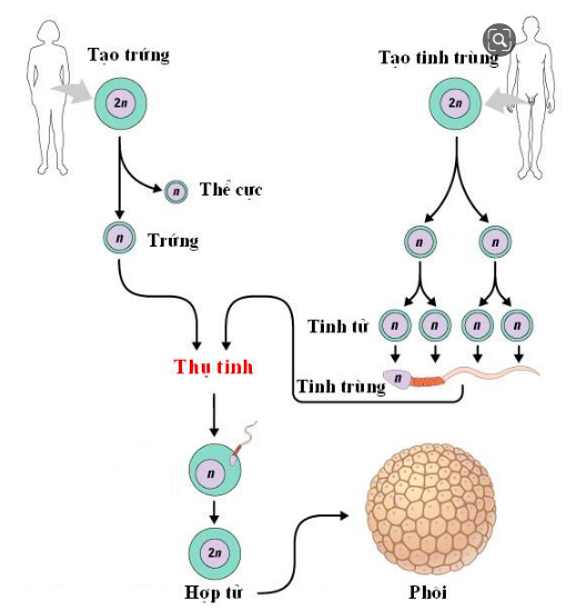 Giải Sinh học 11 Bài 2: Khí hậu châu Á (ảnh 4)