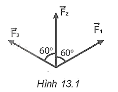 Sách bài tập Vật lí 10 Bài 13 (Kết nối tri thức): Tổng hợp và phân tích lực cân bằng lực (ảnh 1)