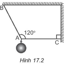 Sách bài tập Vật lí 10 Bài 17 (Kết nối tri thức): Trọng lực và lực căng (ảnh 1)