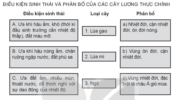 Sách bài tập Địa lí 10 Bài 24: Địa lí ngành nông nghiệp - Kết nối tri thức (ảnh 1)