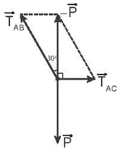 Sách bài tập Vật lí 10 Bài 17 (Kết nối tri thức): Trọng lực và lực căng (ảnh 1)