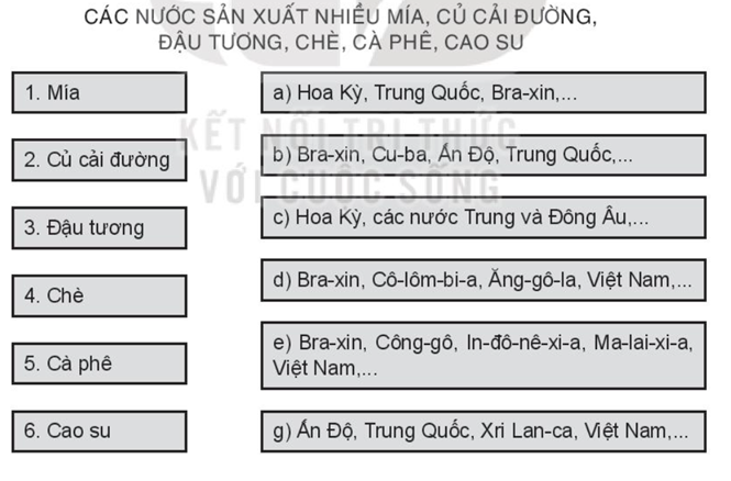 Sách bài tập Địa lí 10 Bài 24: Địa lí ngành nông nghiệp - Kết nối tri thức (ảnh 1)