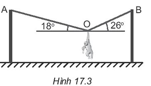 Sách bài tập Vật lí 10 Bài 17 (Kết nối tri thức): Trọng lực và lực căng (ảnh 1)