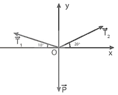 Sách bài tập Vật lí 10 Bài 17 (Kết nối tri thức): Trọng lực và lực căng (ảnh 1)