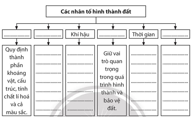 Sách bài tập Địa lí 10 Bài 14: Đất - Chân trời sáng tạo (ảnh 1)